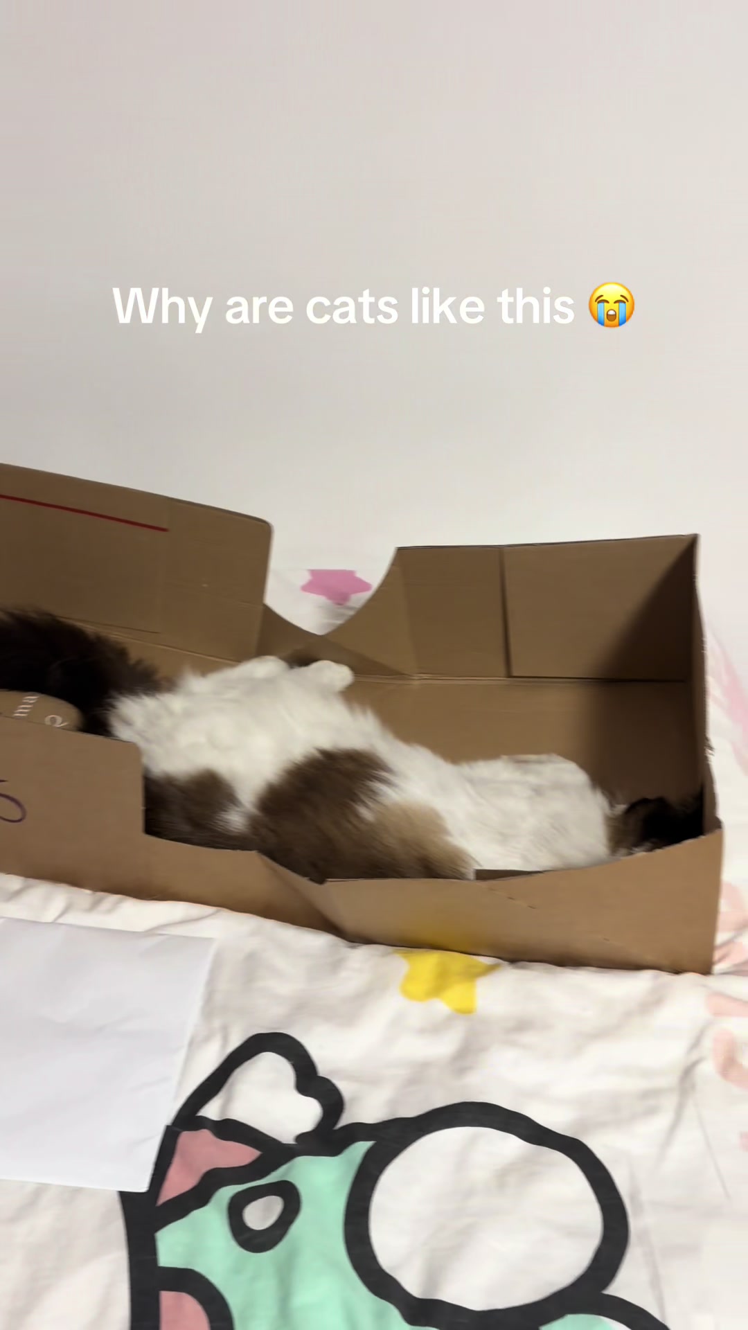 @totalmessforu