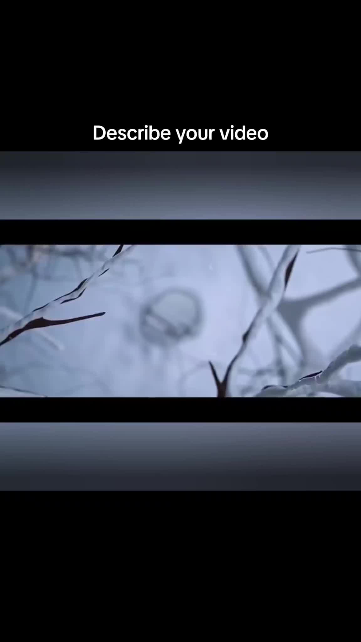 @asadmohammed