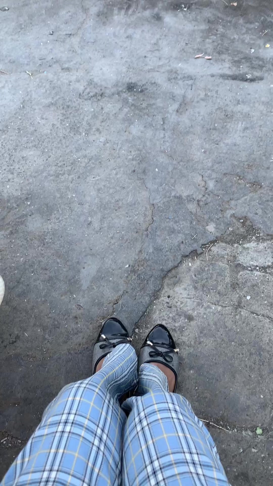 @🦋&hellip;🦄🫠