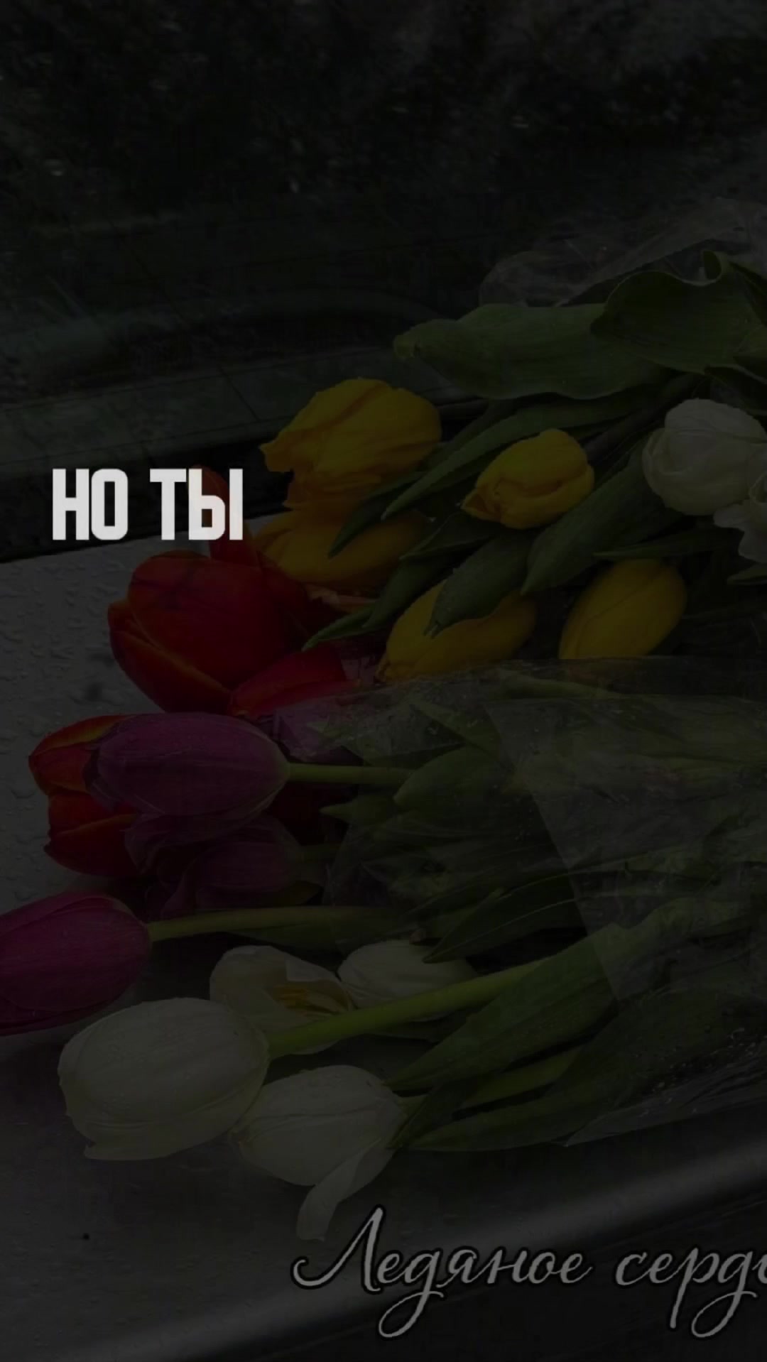 @Мария Иванова