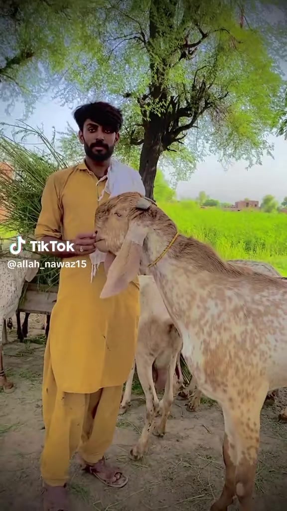 @Malik Rashid