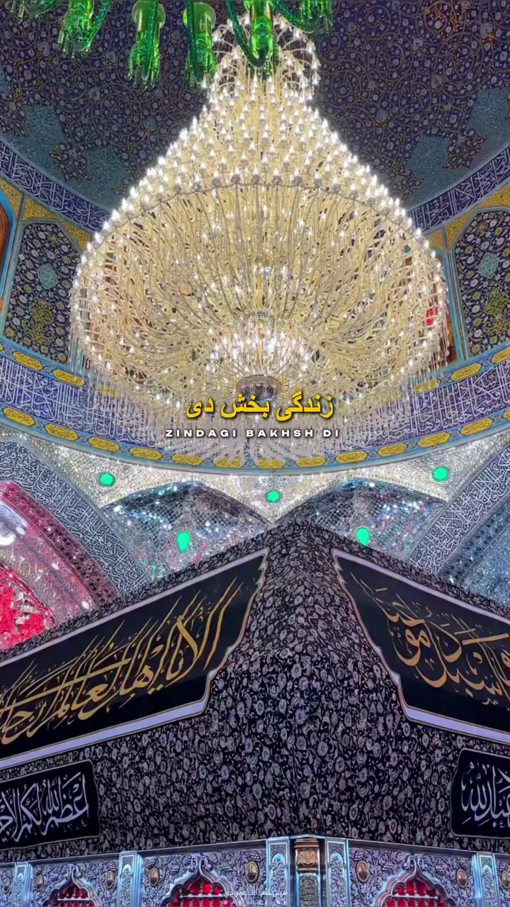 @hamzapatel1851