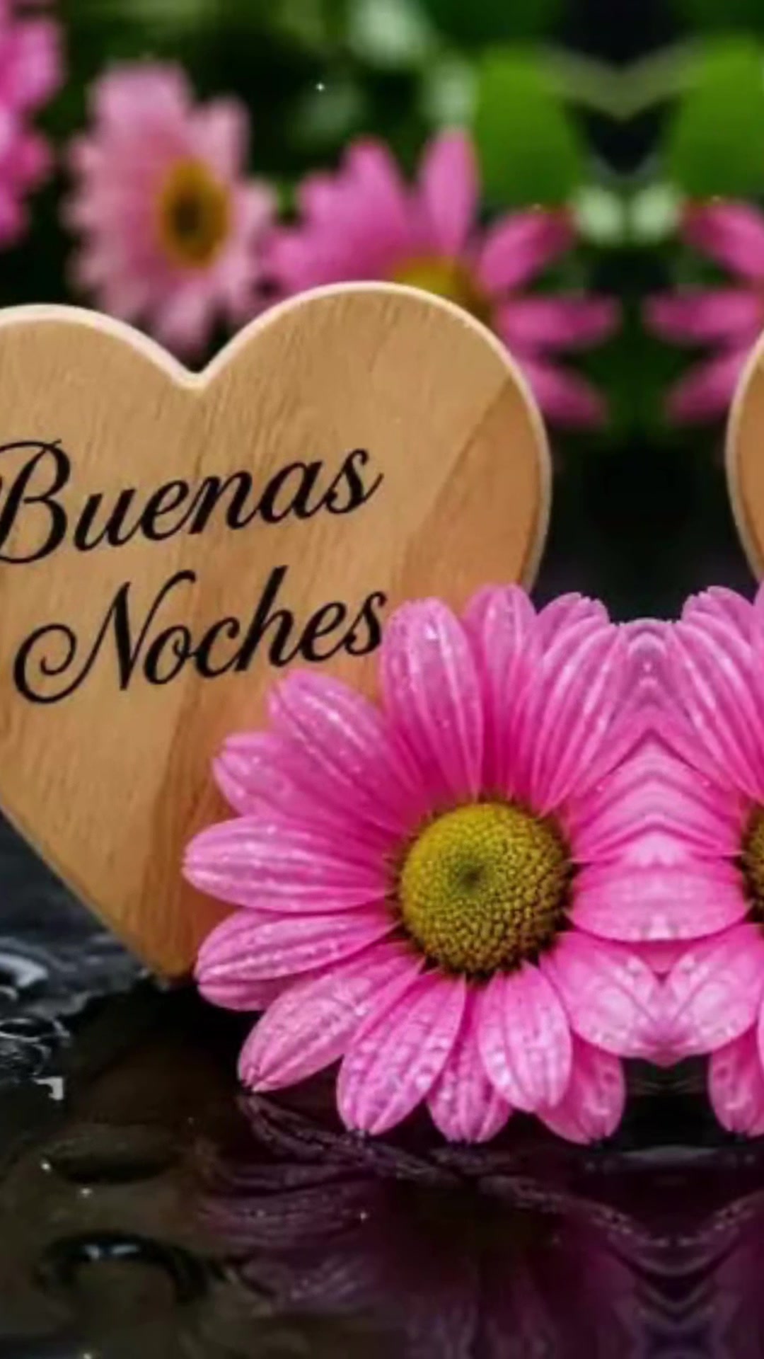 @elvirasvg
