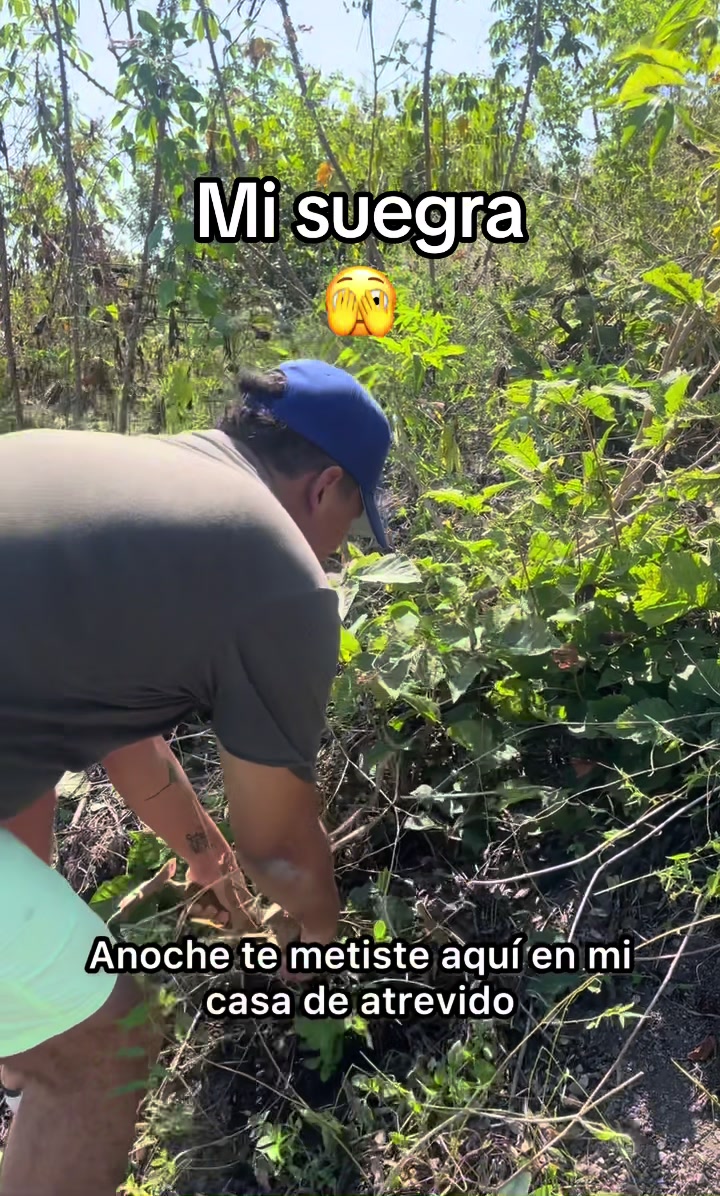 @ELKevin🚀