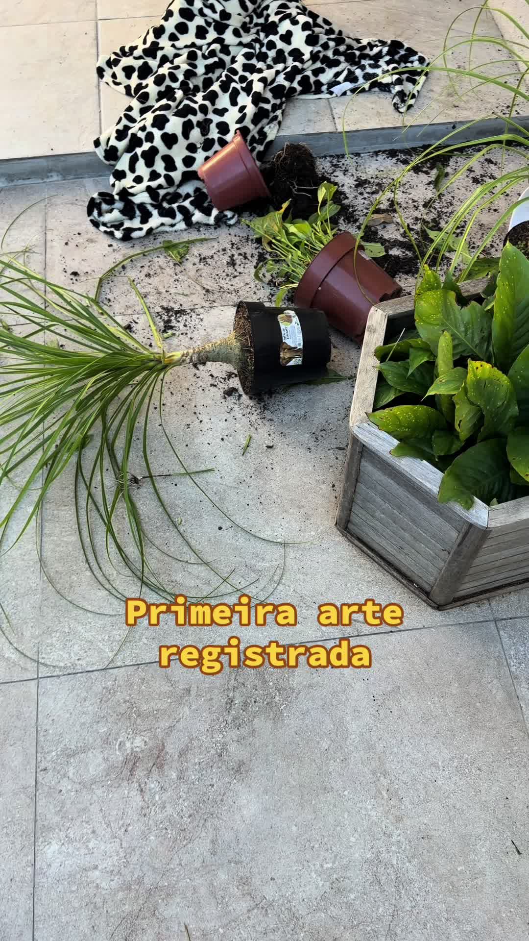 @Catita Família Atípica