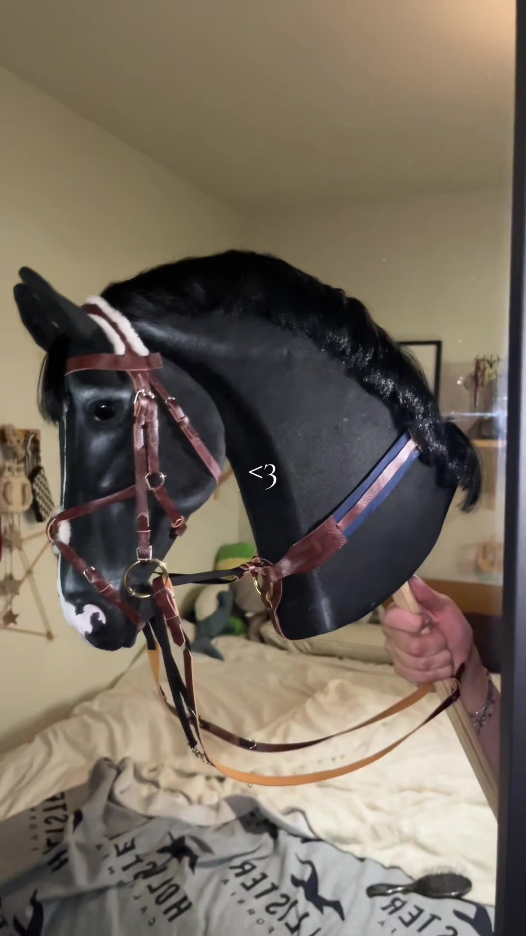 @zhobbyhorse