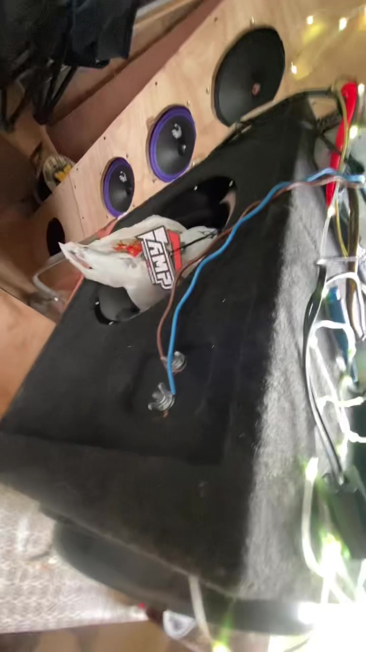 @DL AUDIO VLOG