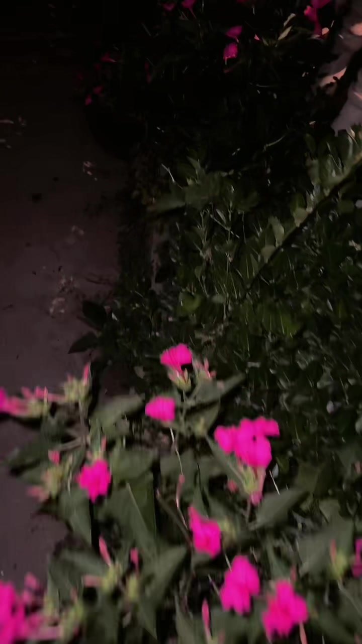 @Zehra.14