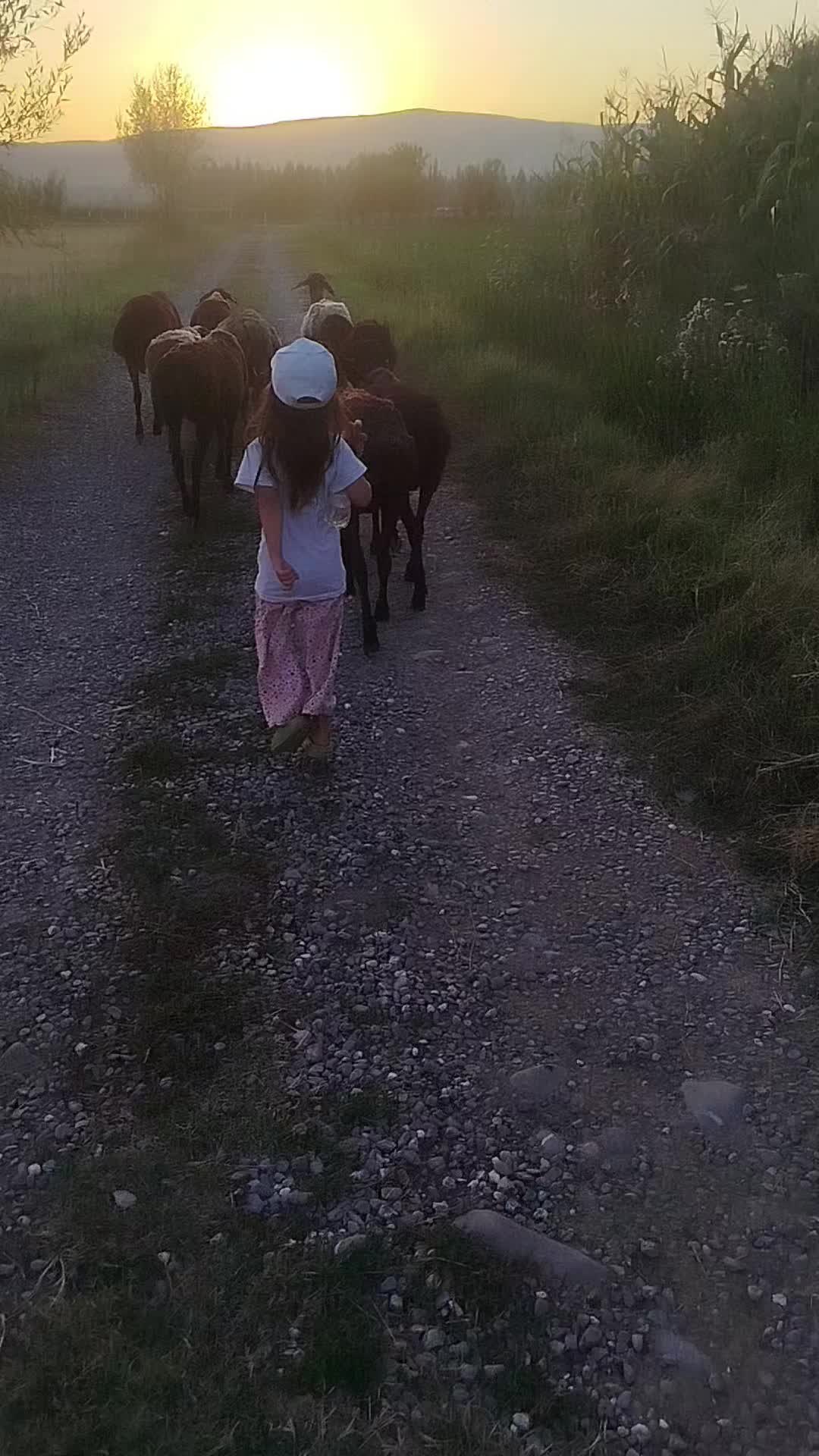 @Айдаров А