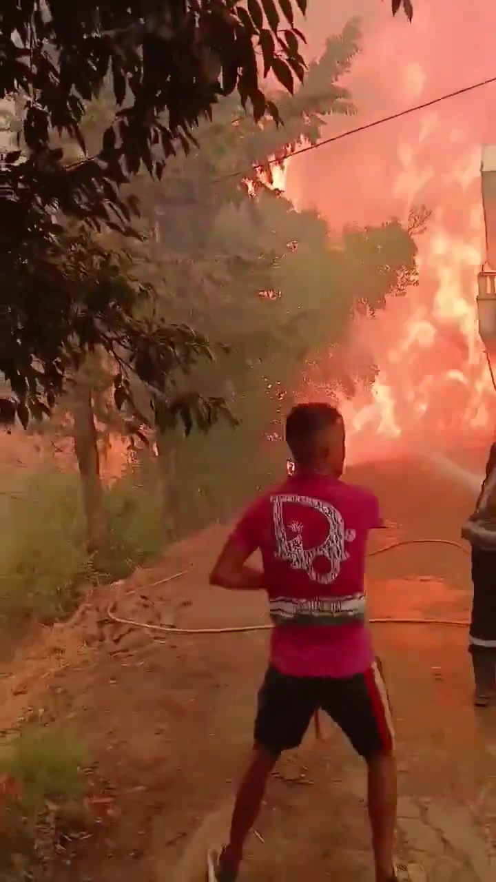 @🇩🇿