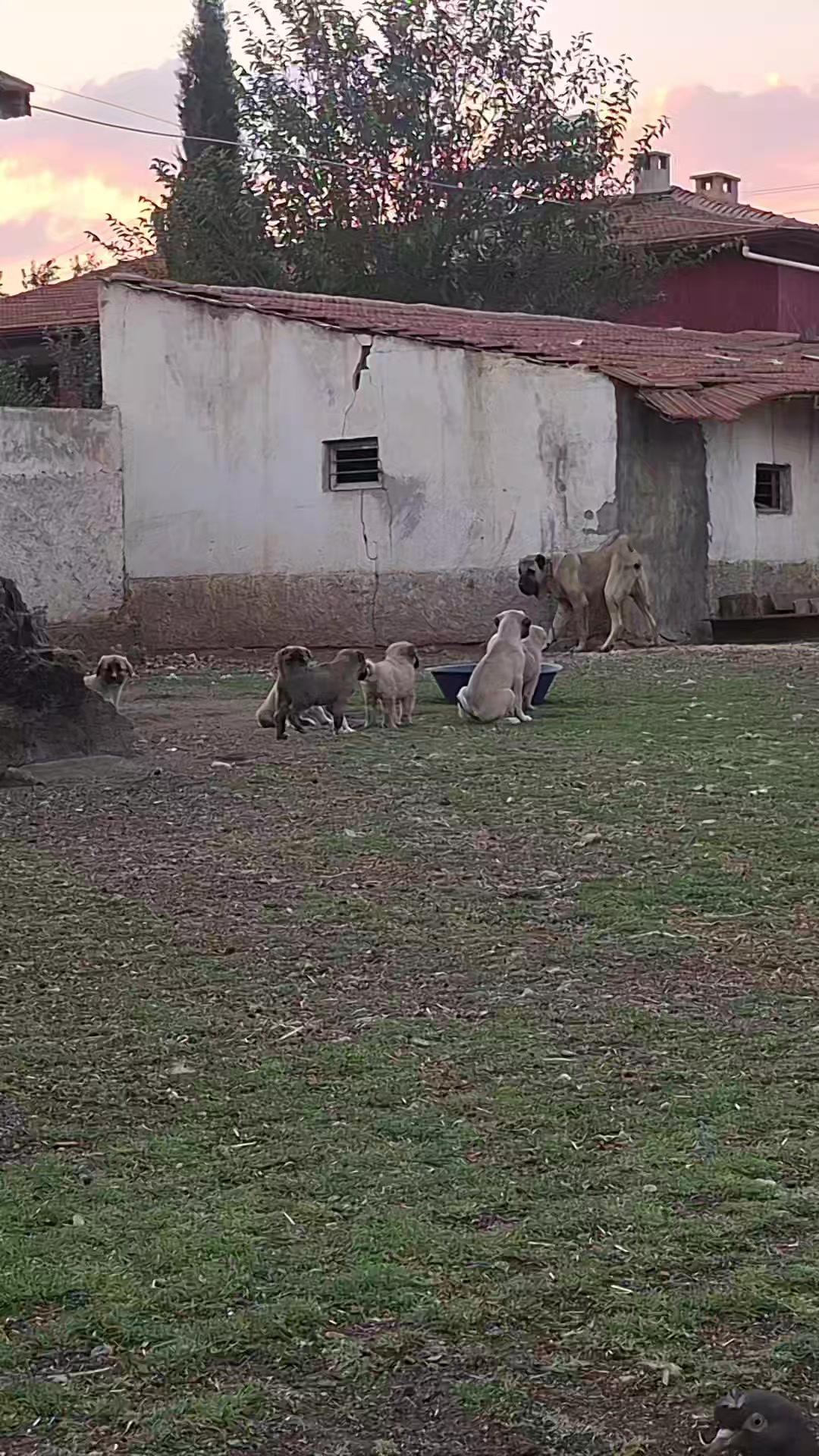 @Berat Demirtaş