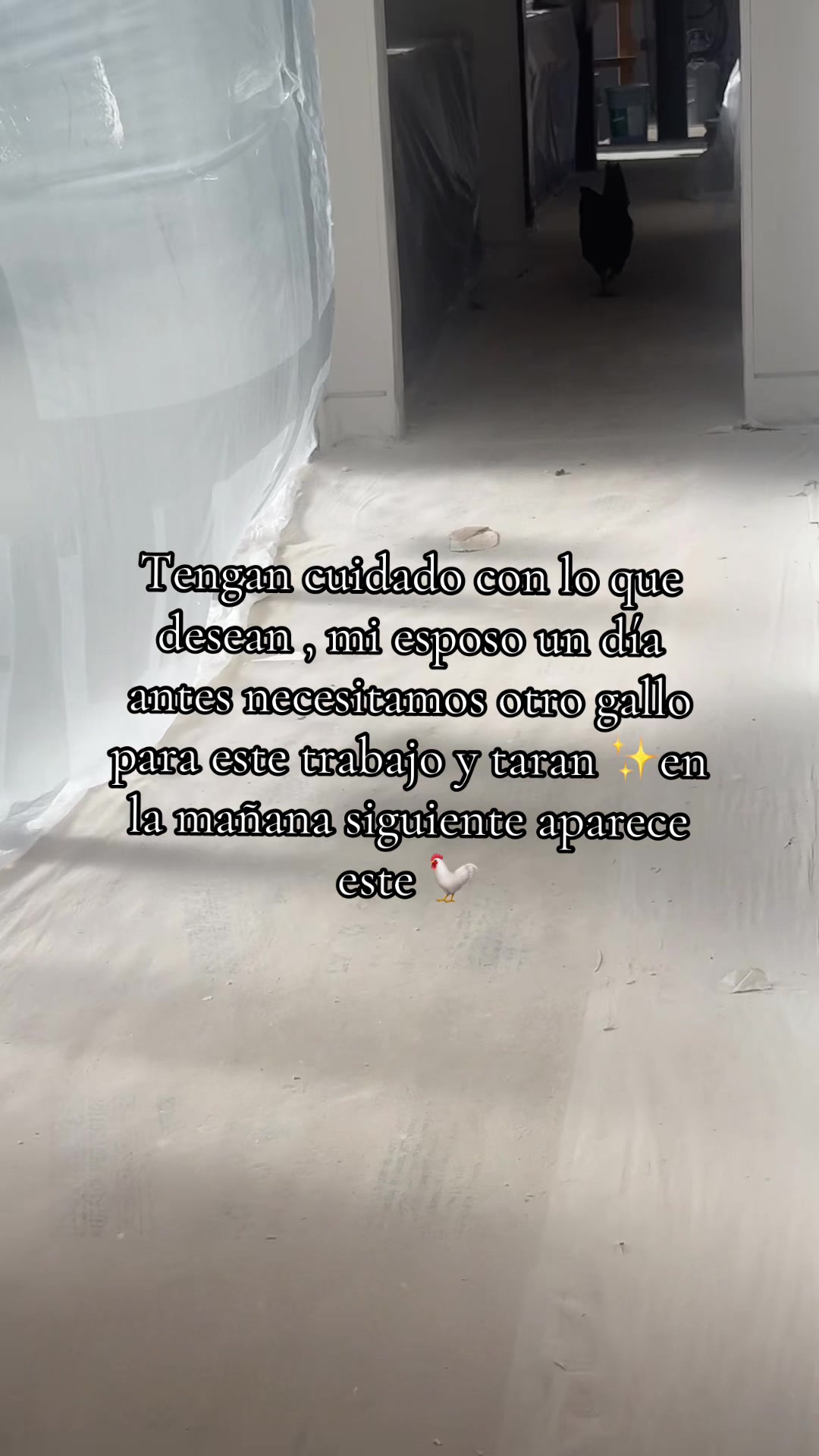 @Angelik