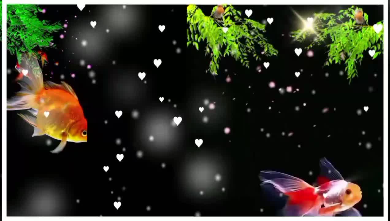 @পিচ্চি পুড়ী