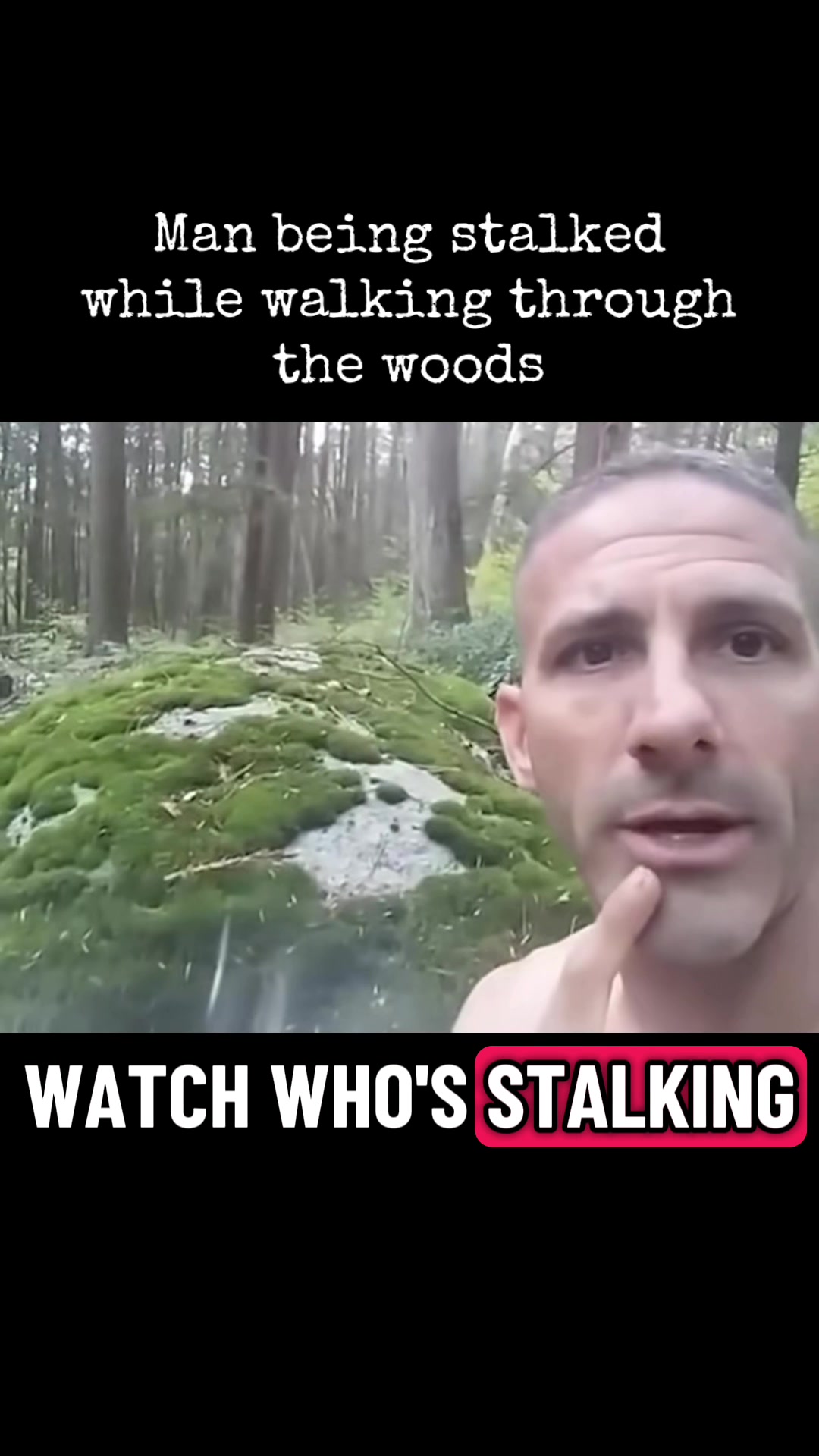 @Creepychronicles