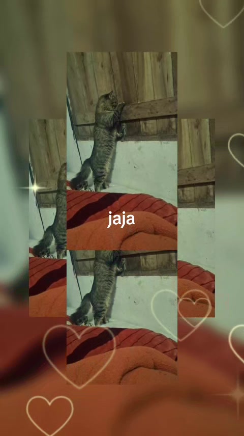 @Pri 951