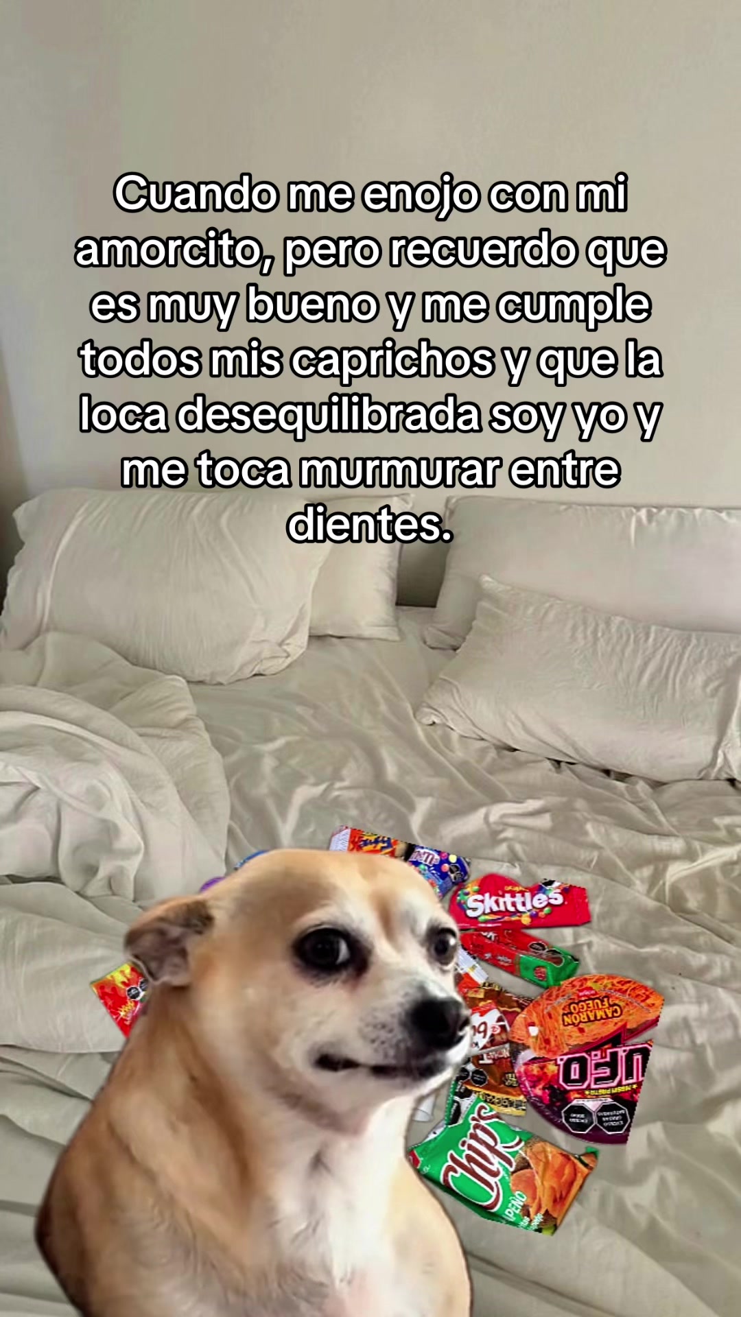 @El Woody 🤠