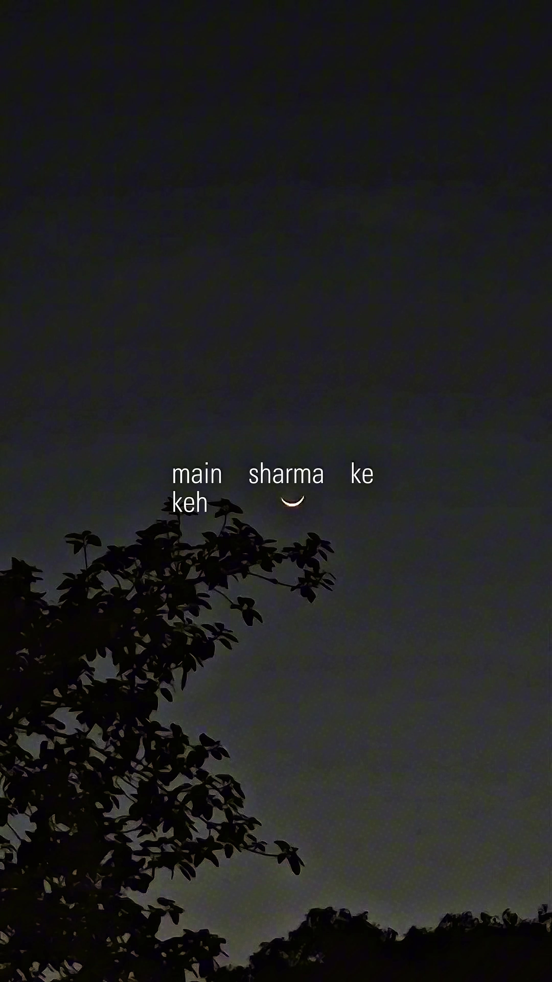 @Syed Najum Shah