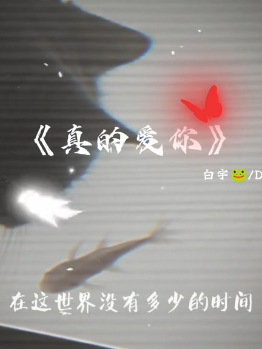 @𝗧𝘃𝘂💤 轻轻🐸