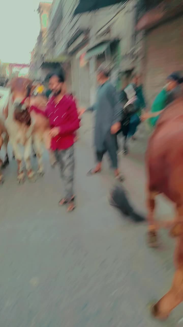@farhanmalik123