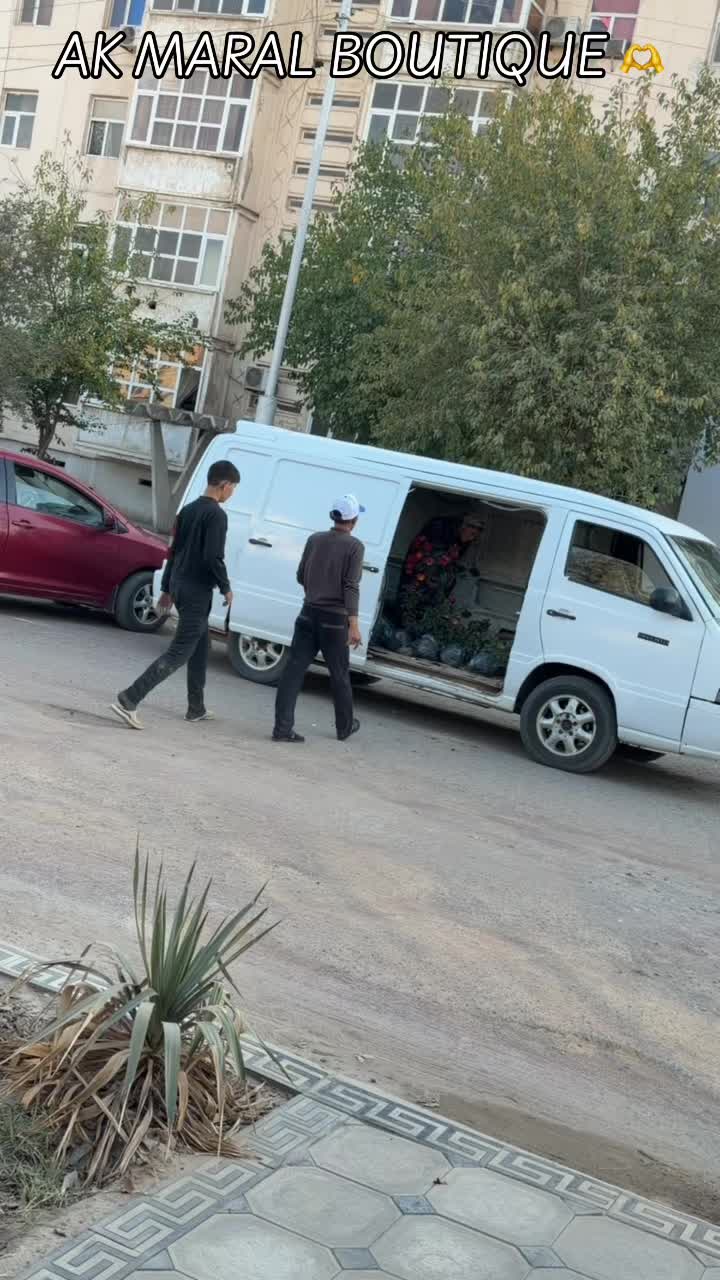 @AK MARAL