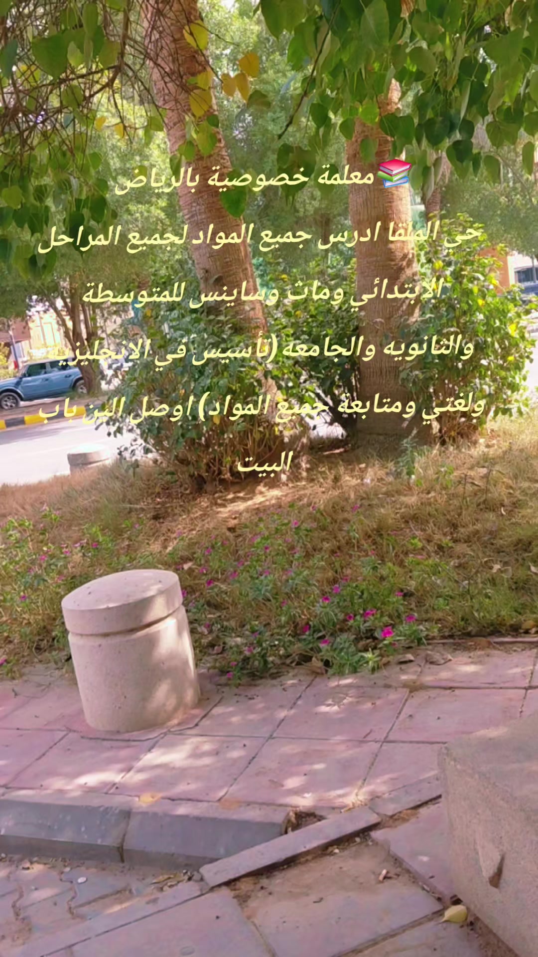 @توفير معلمات ومعلمين الرياض