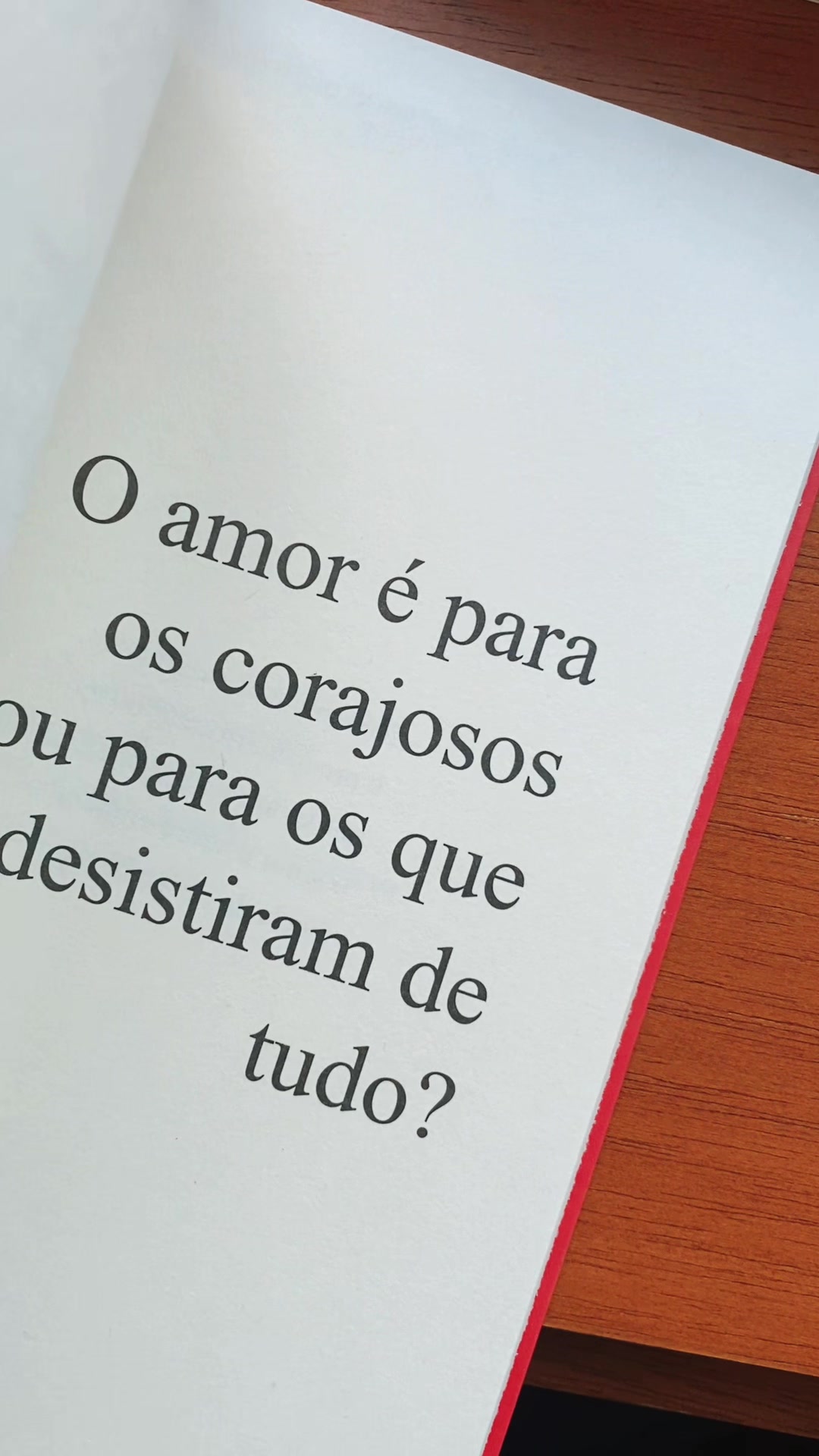 @Vini Queiroz