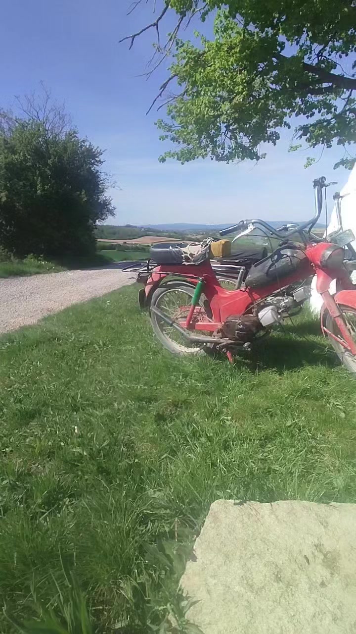 @Acimovic1235