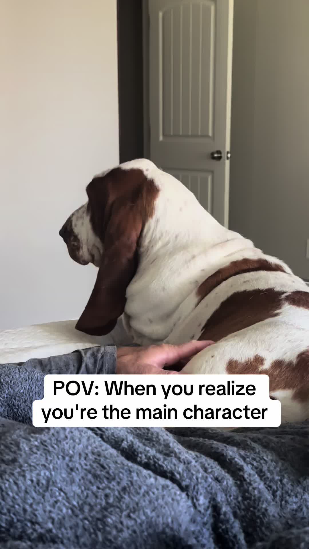 @Lisa 🐾🐶