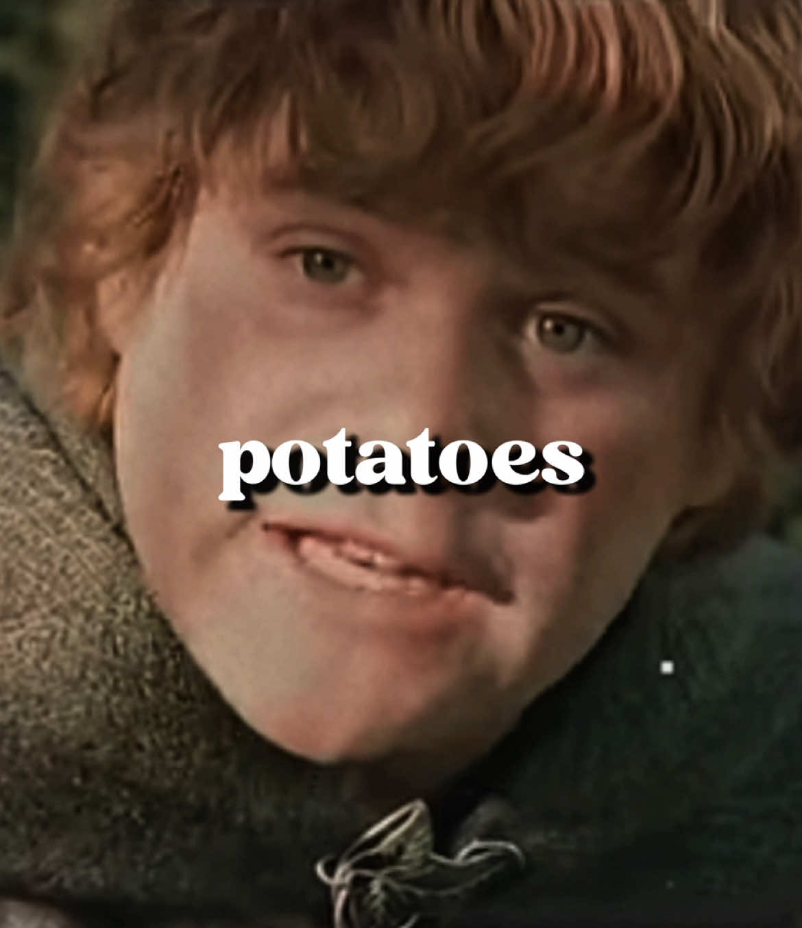 @✨Samwise the brave✨