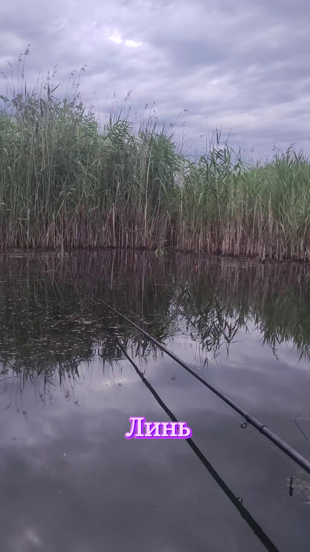 @(ЖОР)Жизнь Одного Рыбака