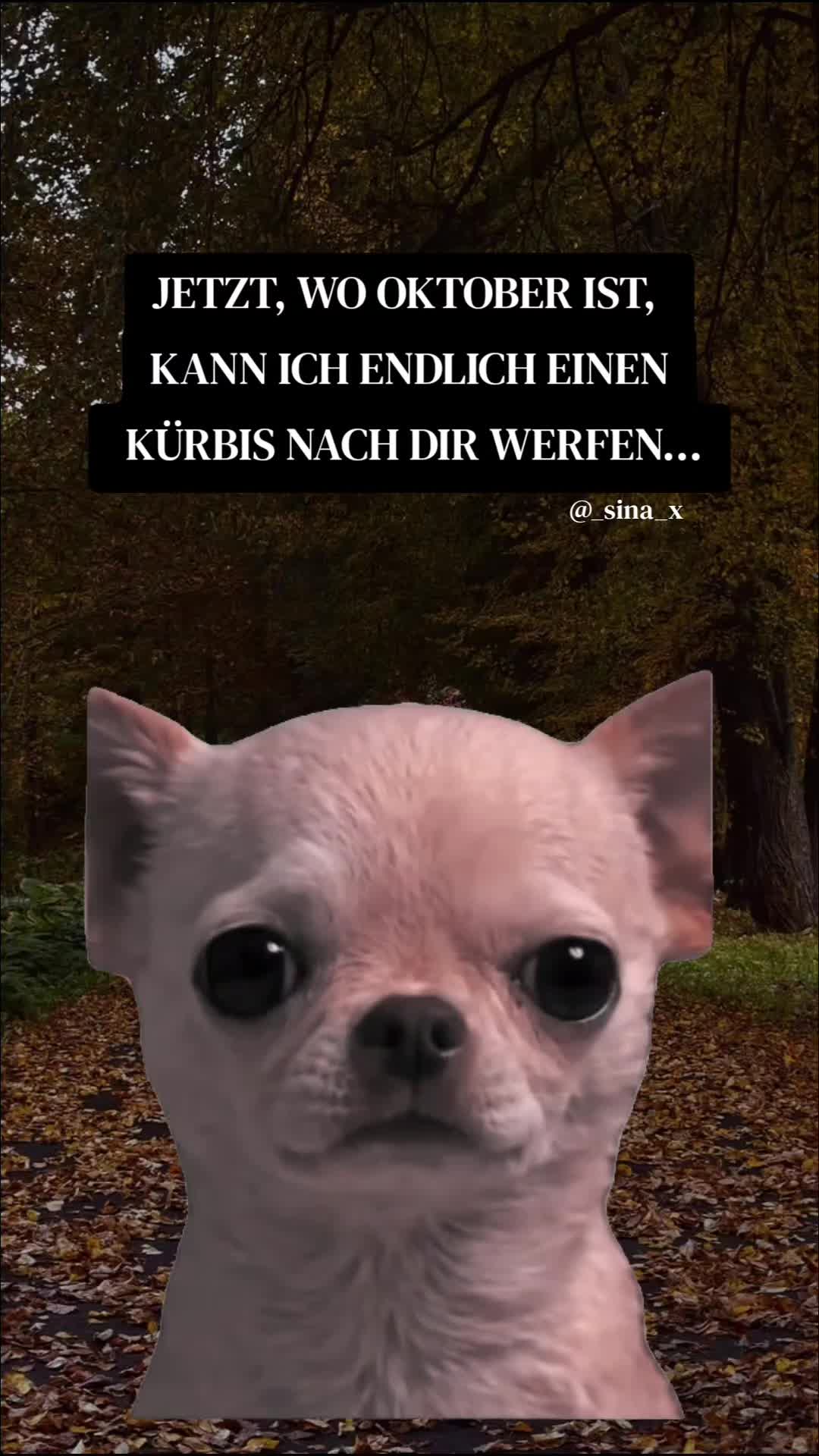 @𝙭𝙎𝙞𝙣𝙖🎮