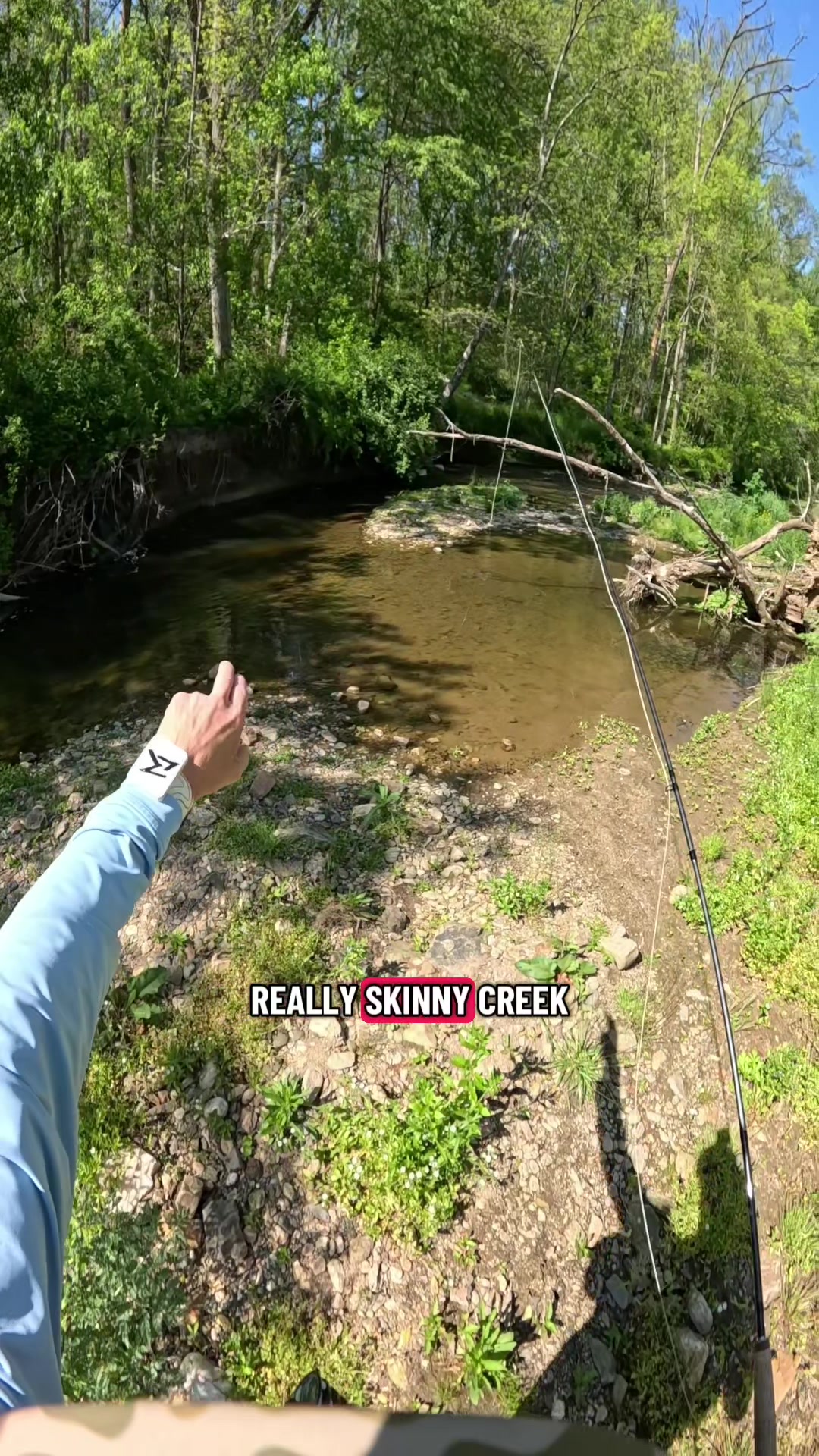 @FlyFishDelawhere
