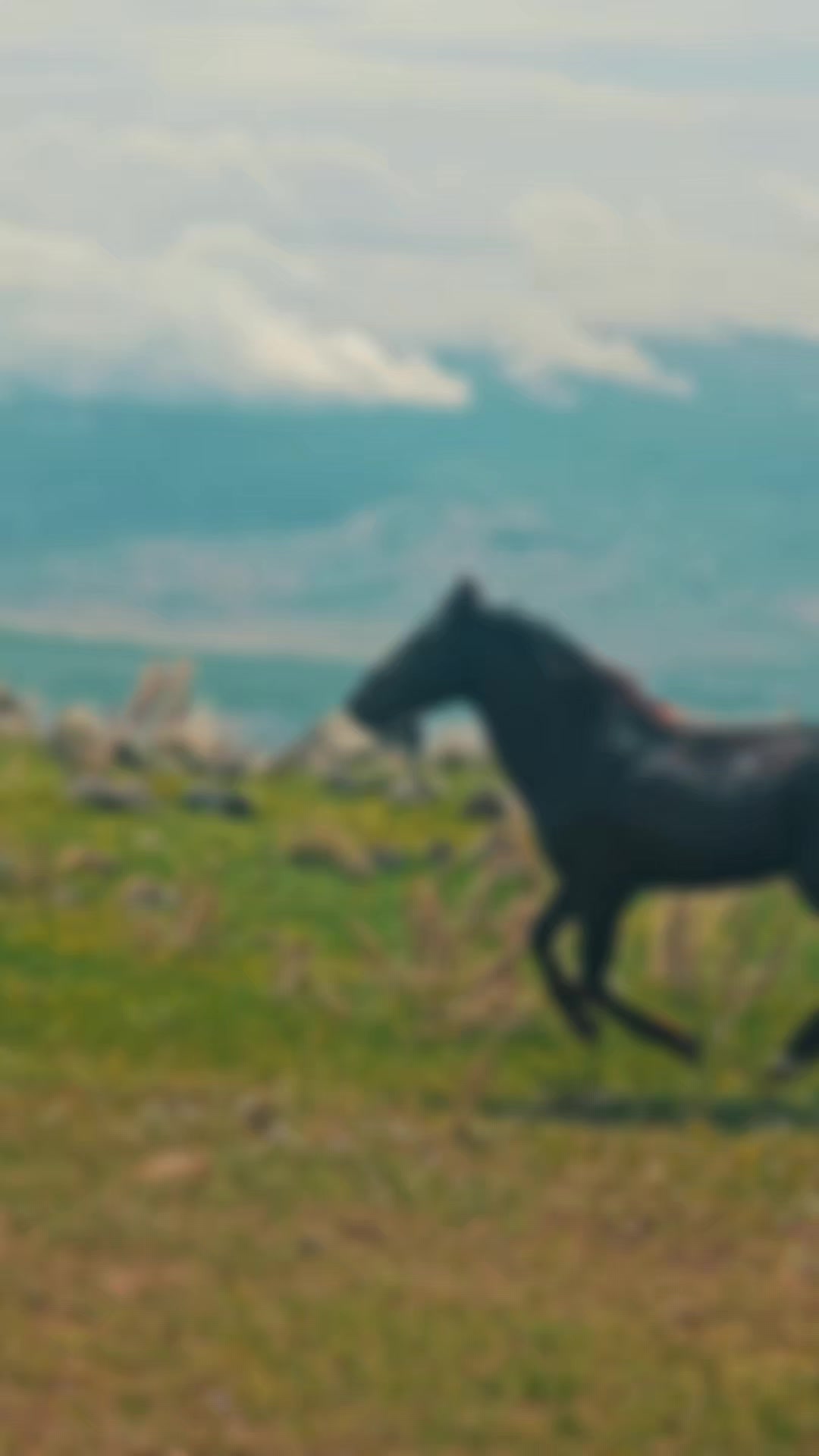 @Bır&uuml;sk derler