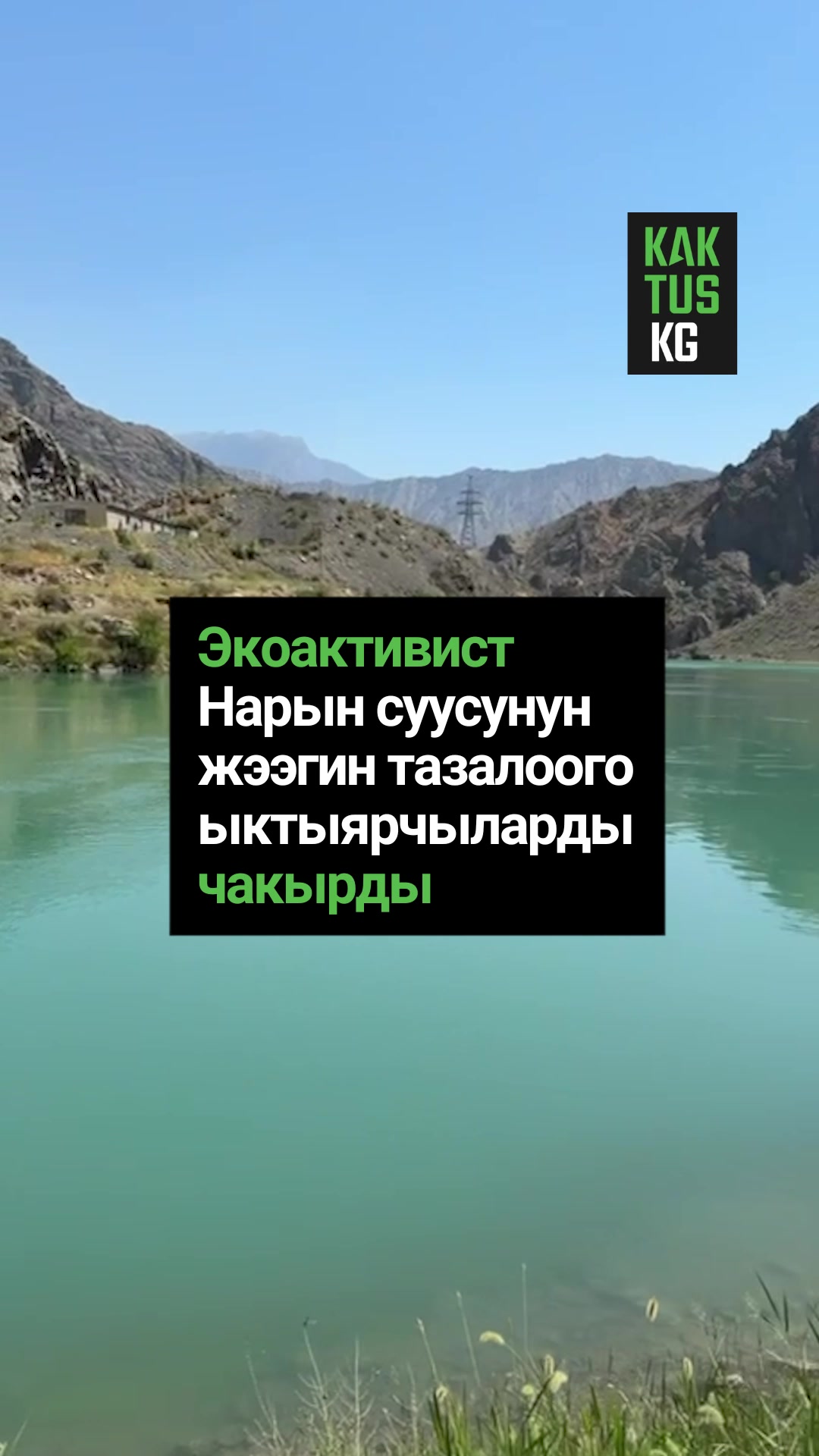 @Kaktus KG