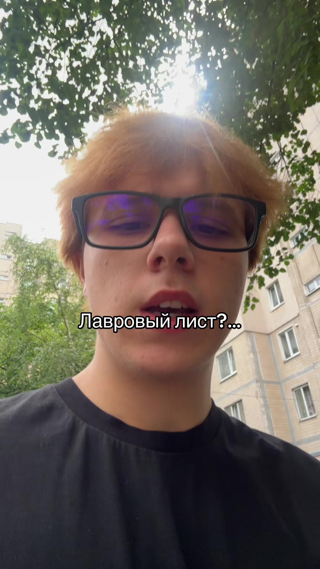 @ведмідь