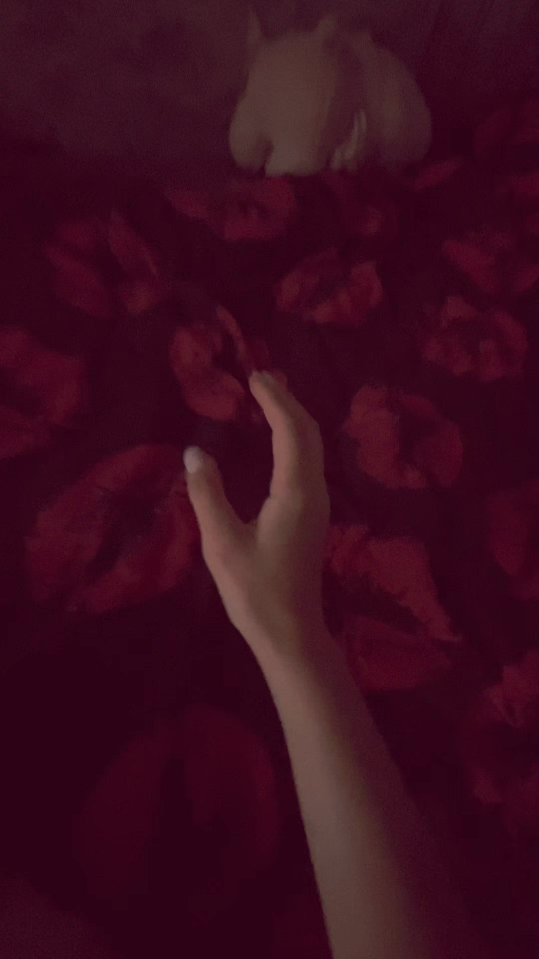 @PolinKa🕷🖤🌧️