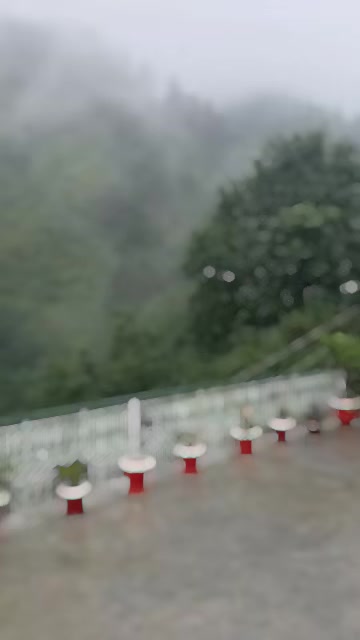 @ShahbazKhan