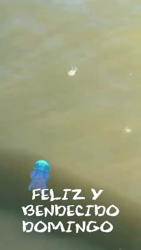 @🪐⃝𝒵 &Yuml;&Oslash;V&Auml;