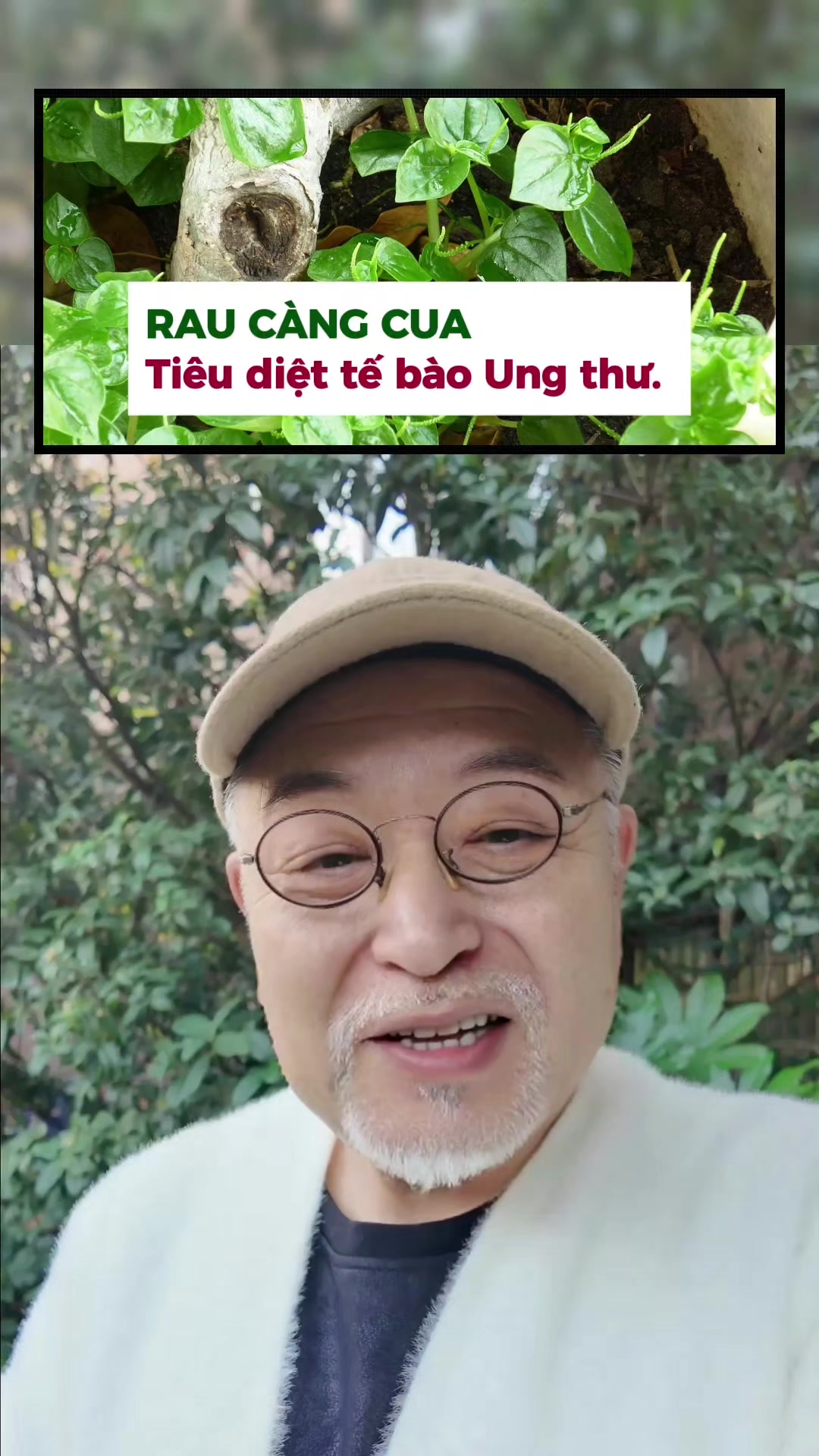 @Thảo dược qu&yacute; 9999 🌳 ✅️