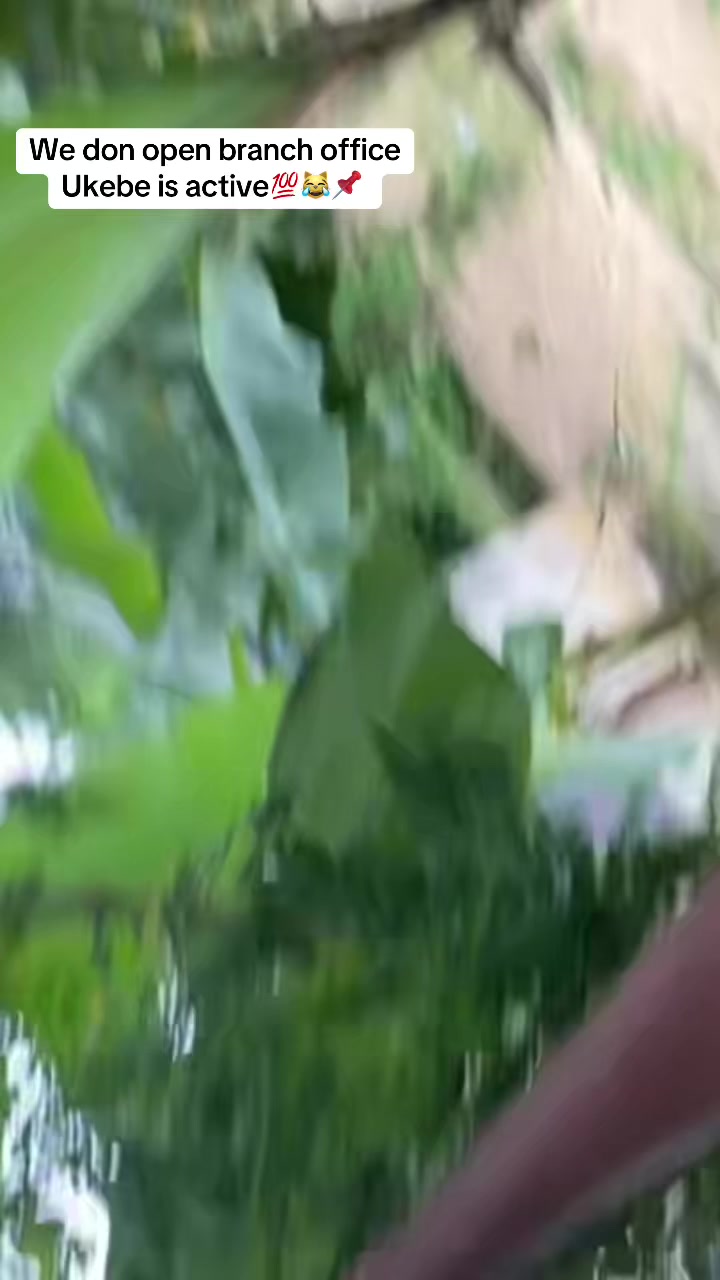 @jusemmilizy