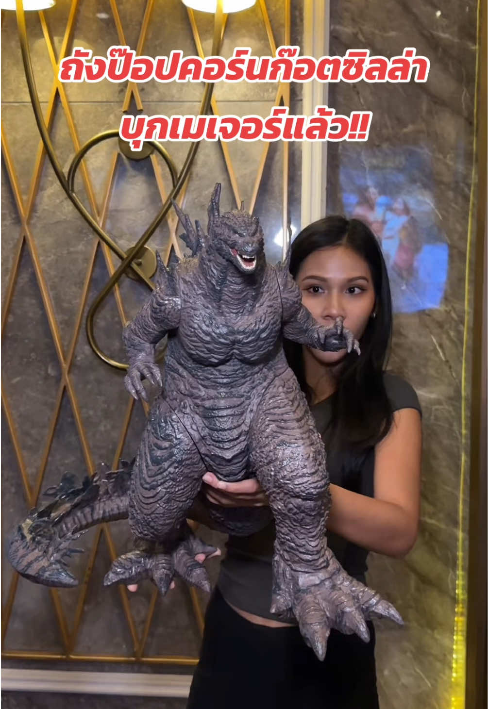 @ชอบโปร - ShobPro