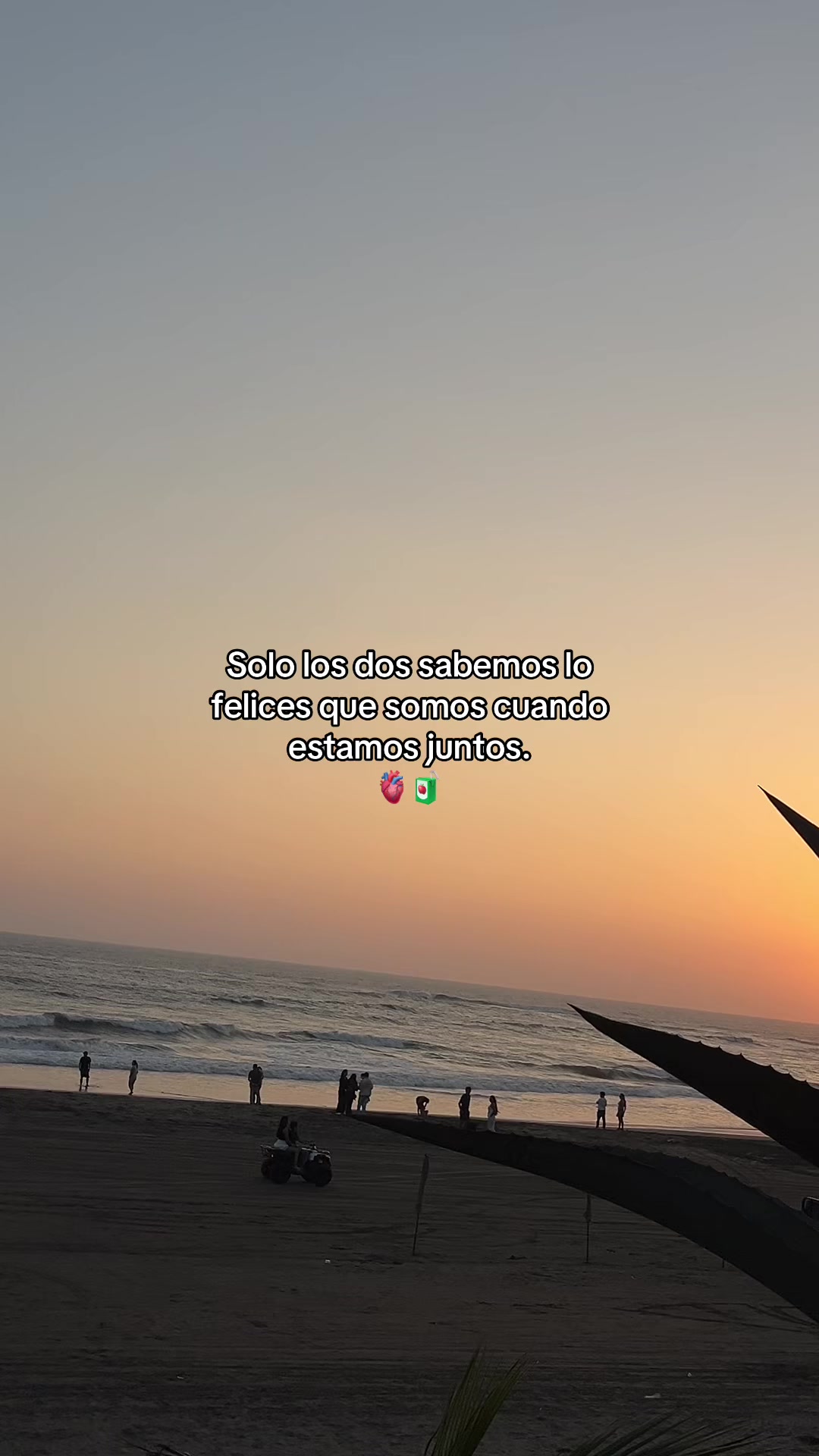 @Gatocix 🐱