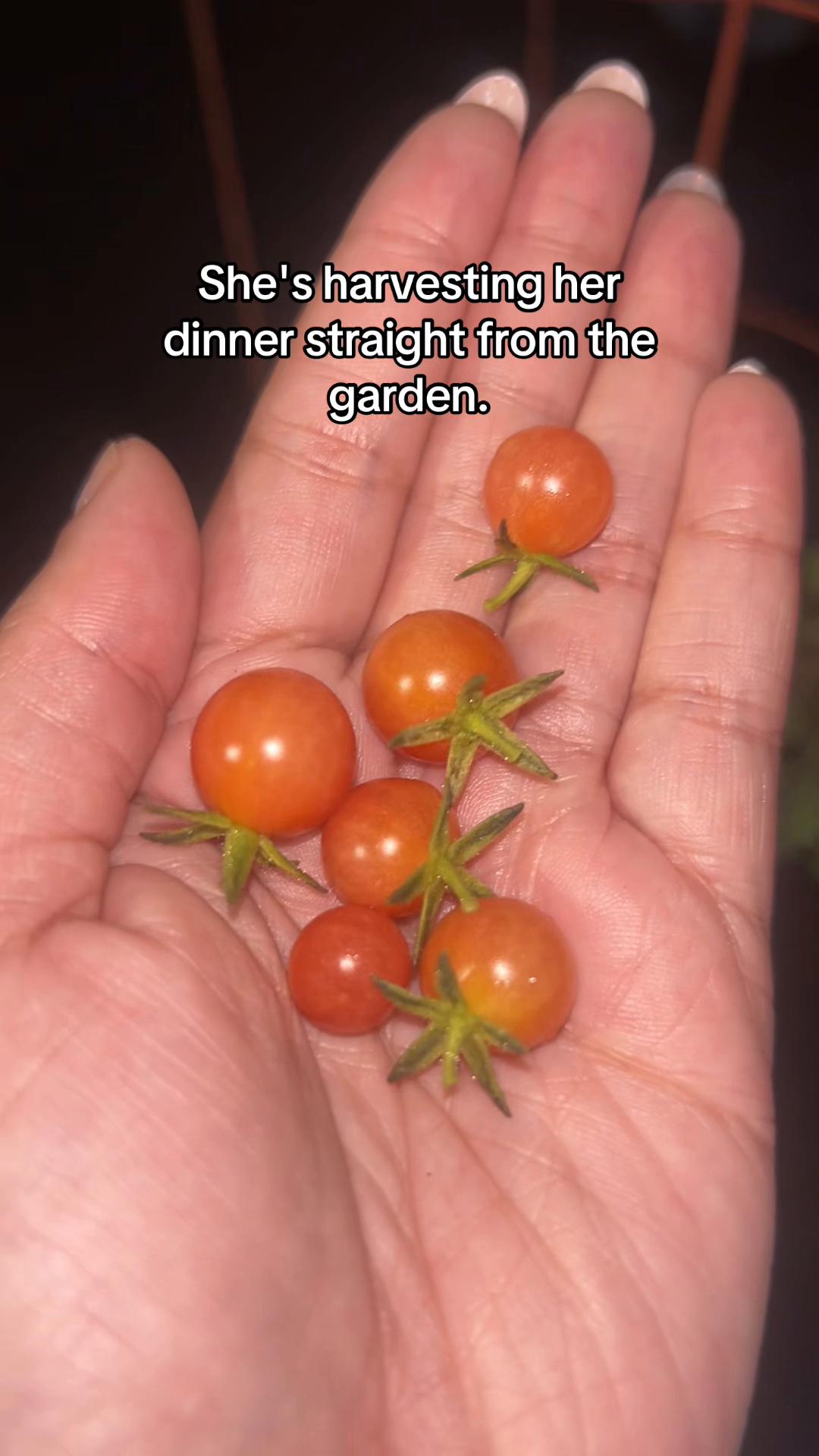 @Des