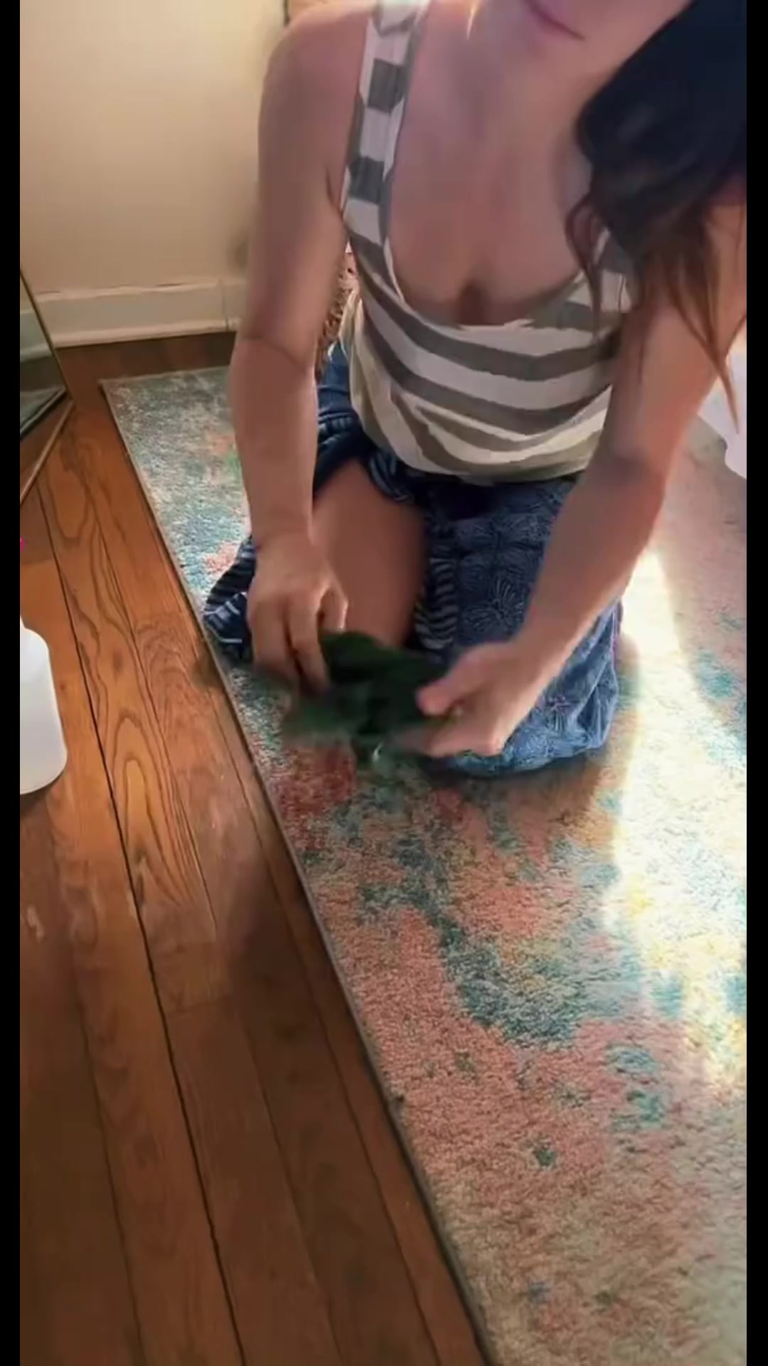 @anhian0741