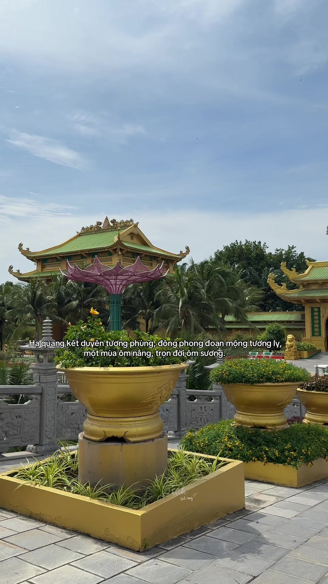 @Reels của T&igrave;nh 🫧