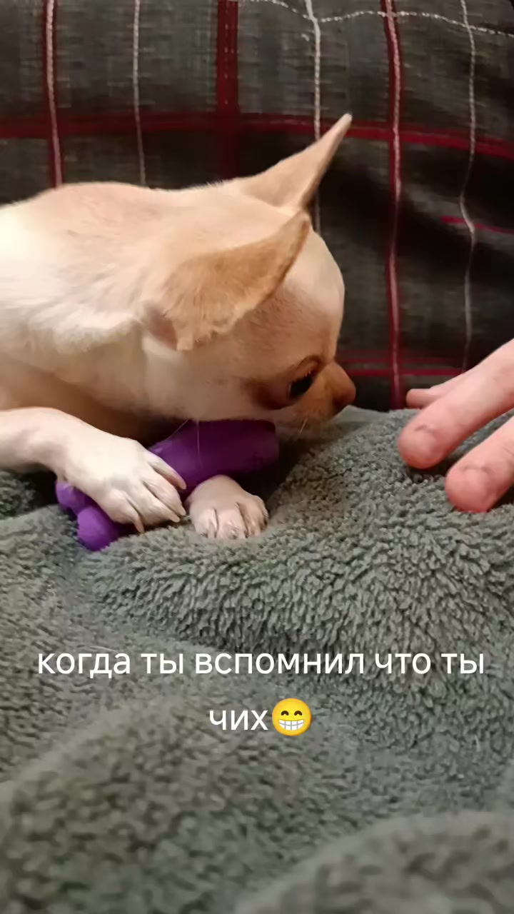 @❤️Анита💙Донецк🖤