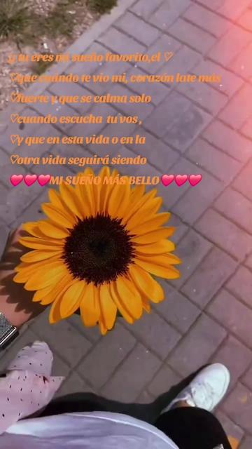 @mia jazz 👑💓🦋🧉🇦🇷