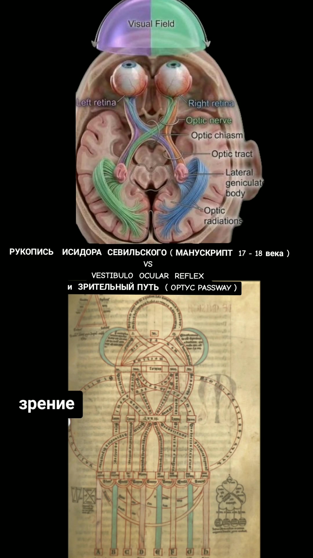 @ОЛЬГА ВЕЛЖИЧ