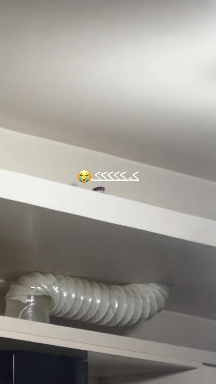 @Eli