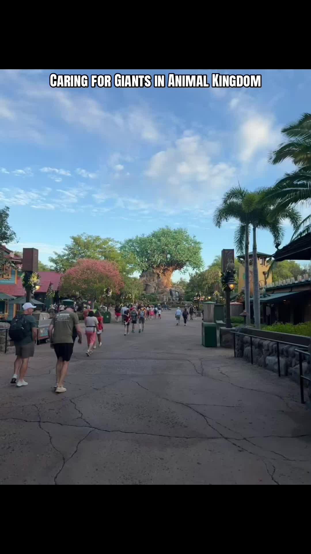 @Kellie plans Disney